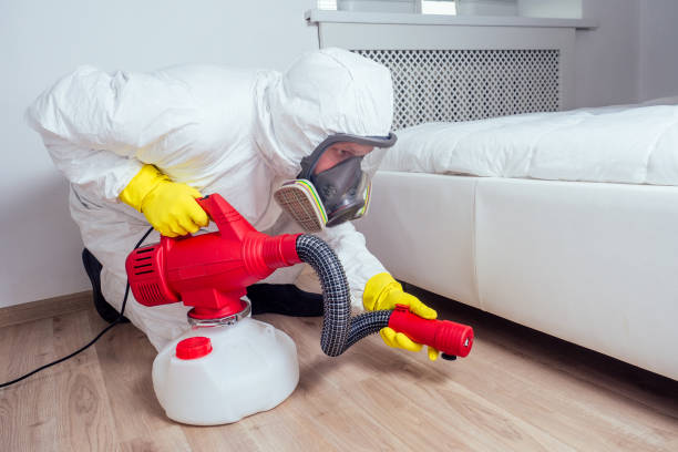 Trusted Bay Point, CA Pest Control Experts