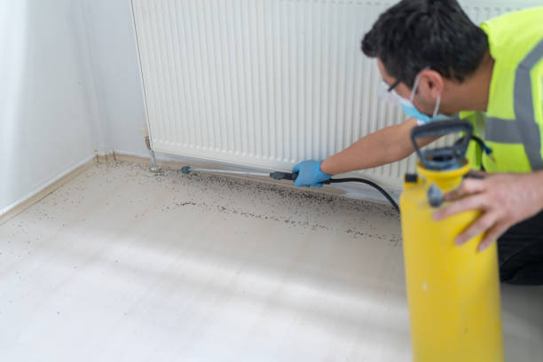 Best Pest Inspection Near Me  in Bay Point, CA