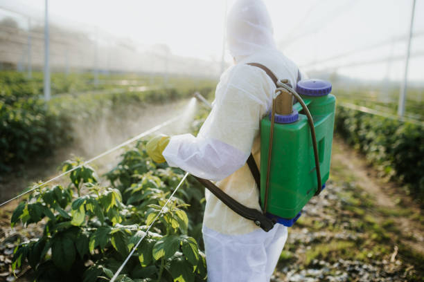 Best Best Pest Control Companies  in Bay Point, CA